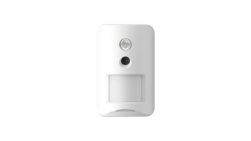 Wireless PIR-CAM Detector