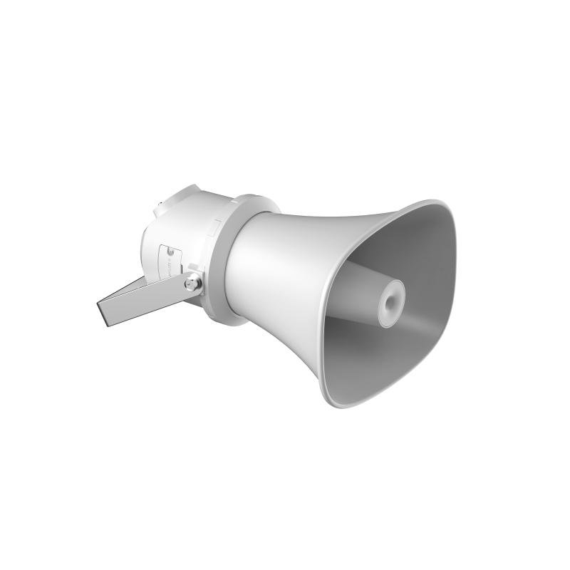 Audio